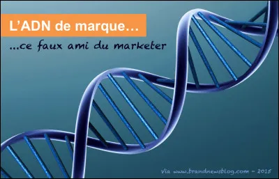 Quel mécanisme permet de passer de la molécule d'ADN à celle de l'ARN messager ?