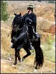 Comment s'appelle le cheval de Zorro ?
