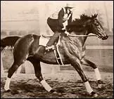 De quel autre cheval clbre est-il le grand-pre ?