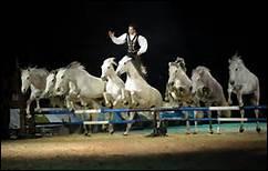 Combien de chevaux utilise Lorenzo pour son spectacle de Poste hongroise ?
