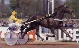 Dans quelle discipline Ourasi tait-il champion ?