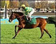 Quel cheval bai est un des plus grands champions de Steeple Chase ?