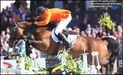 Quel est le cavalier d'Oki Doki, champion de CSO ?