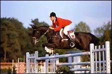 Quel petit cheval noir tait surnomm 'Bout de zan' ?