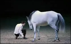 Quelle est la spcialit des frres Pignon ?