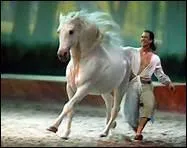 Quel est le nom du spectacle mont par Frdric Pignon et sa femme ?