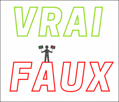 Entre 4 et 9 mois, de nombreux chats ont presque atteint leur taille adulte.