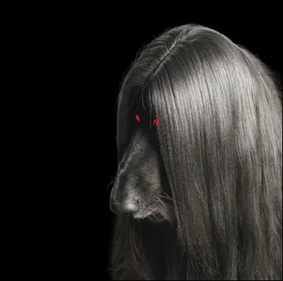 Épouse de Priam roi de Troie, vengeresse impitoyable, changée en une chienne aux yeux de feux. Qui est-elle ?