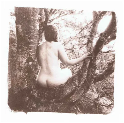 Protectrices des bois et des arbres en général. Qui sont-elles ?