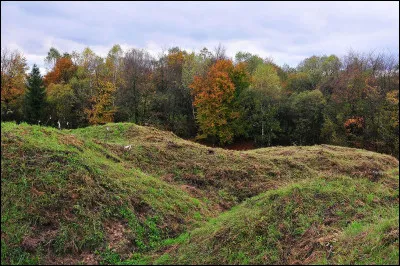 En quelle année eut lieu la Bataille de Verdun durant la Première Guerre mondiale ?