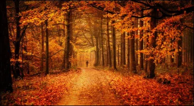 Quel chanteur français a interprété le titre "Octobre" ?