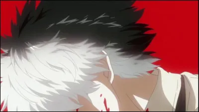 Bon, si tu étais comme par magie dans un manga, quelle serait ta couleur de cheveux ?