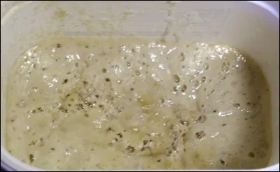 Compl&eacute;tez ce dicton : Quand il pleut &agrave; la Saint-Aubin, l'eau est plus ch&egrave;re que...