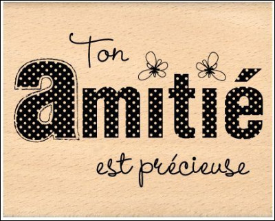 Te fais-tu facilement des amis ?