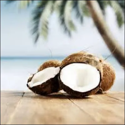 Comment s'appelle l'arbre sur lequel poussent les noix de coco ?