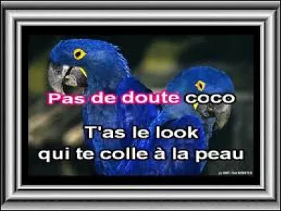 Qui a chanté "T'as le Look Coco" en 1984 ?