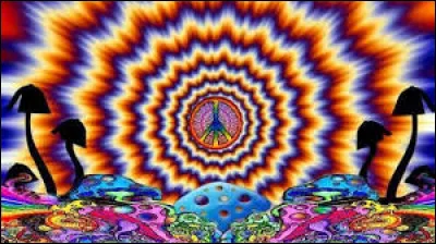 Qui est le dessinateur de Tintin ?