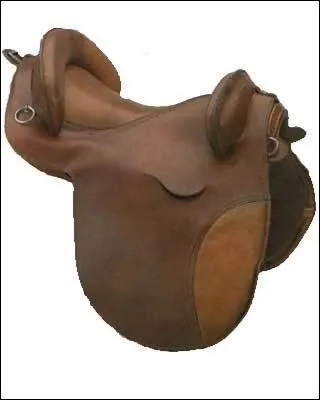 Quel est le nom de cette selle ?