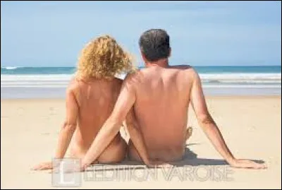 Qui a chanté "Tout nu, tout bronzé" ?