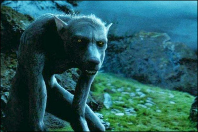 Comment s'appelle le loup-garou ayant mordu Remus Lupin ?