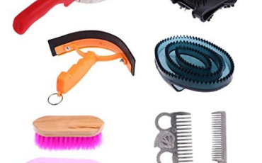 Quiz Brosses