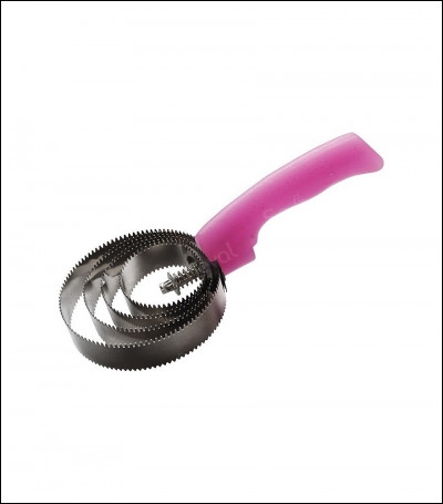 Comment s'appelle cette brosse ?