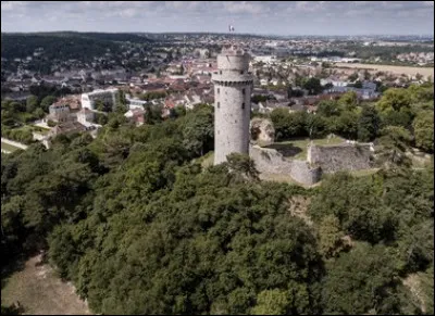 Ville du département de l'Essonne, située dans la plaine du Hurepoix, connue pour son château fort :
