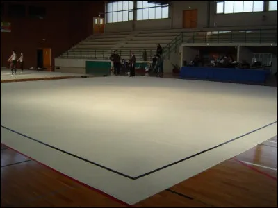 Comment appelle-t-on le tapis de GR ?