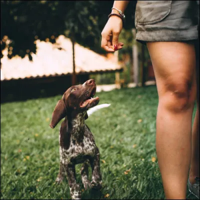 Vous mettrez à disposition...