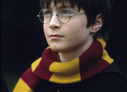 Test Quel garon de Harry Potter sortirait avec toi ?