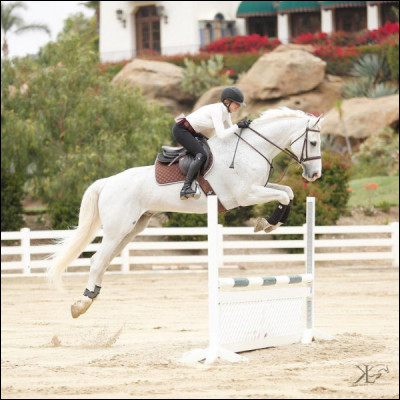 Comment s'appelle cet obstacle ?