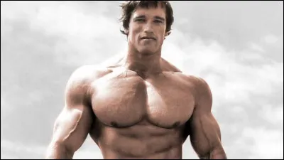 L'acteur Arnold Schwarzenegger a été gouverneur de Californie :