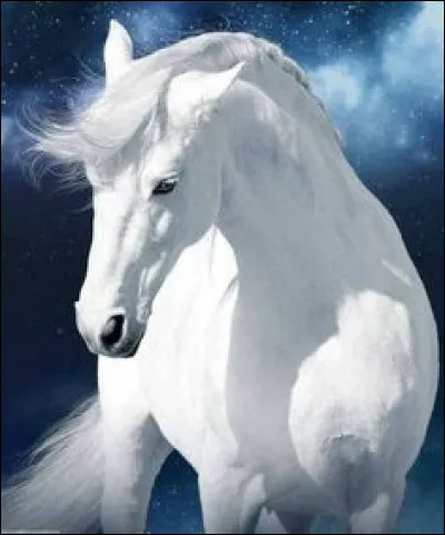 Depuis combien d'années, le cheval existe-t-il ?