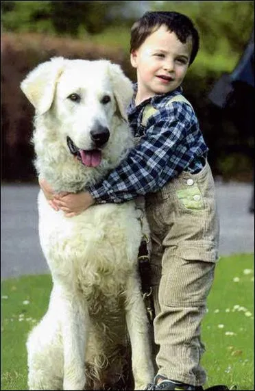 De quelle race s'agit-il ?