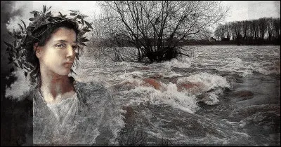 Plus long fleuve de France, royal, passionné et sauvage. Quel est-il ?