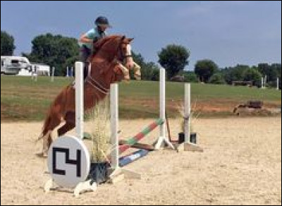 Tu as fini ta détente au galop. Ton moniteur t'explique le parcours que tu dois accomplir. Tu le fais et ,après, il te demande comment s'appelle cet obstacle. Tu lui réponds du tac au tac...