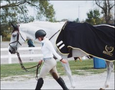Voilà, c'est réparé ! Tu finis tranquillement ton cours.
Après, tu le ramènes, sauf que, lui, il faut le ramener aux écuries. Alors, tu y vas. Sauf que tu ne sais pas où est son box.
Au loin, tu vois le propriétaire. Que feras-tu ?