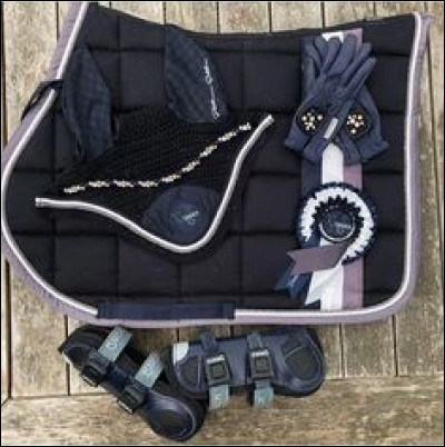 Maintenant que tu l'as attaché, tu dois le brosser, mais ton poney est hyper sale. Tu dois donc commencer par...