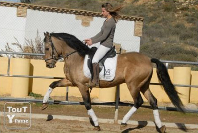 Donc, tu as fini de seller ton cheval et tu as monté.
Par quoi dois-tu commencer de faire ?