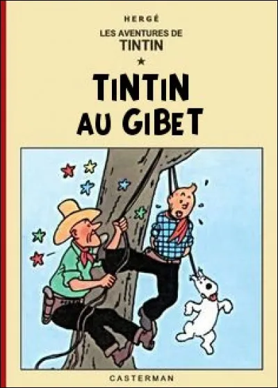 D'après cette couverture, quelle(s) lettre(s) faudrait-il changer pour retrouver le titre d'un album de Tintin ?