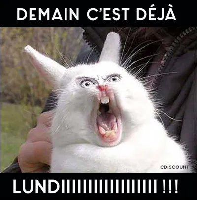 Demain c'est la rentrée, tu...