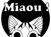Test Quel chat es-tu ?