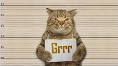 Penses-tu porter malheur ?