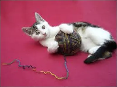 Avec quoi aimes-tu le plus jouer ?