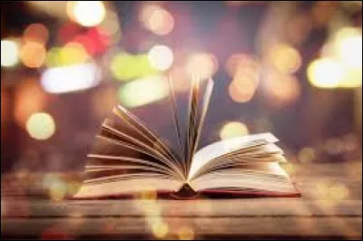 Quel livre préfères-tu ?