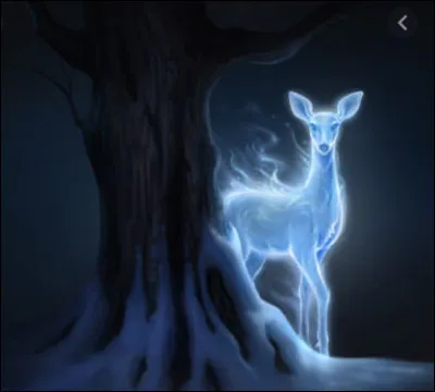 Pourquoi Rogue a le même patronus que Lily ?