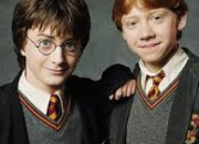 Quiz Harry Potter ou Ron Weasley ?