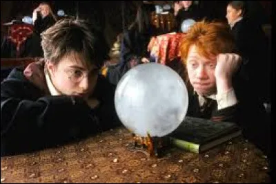 Qui a une chouette pour animal de compagnie ?