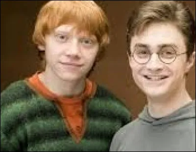 Qui a sa baguette en bois de houx ?