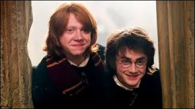 Qui a travaillé au ministère de la magie ?